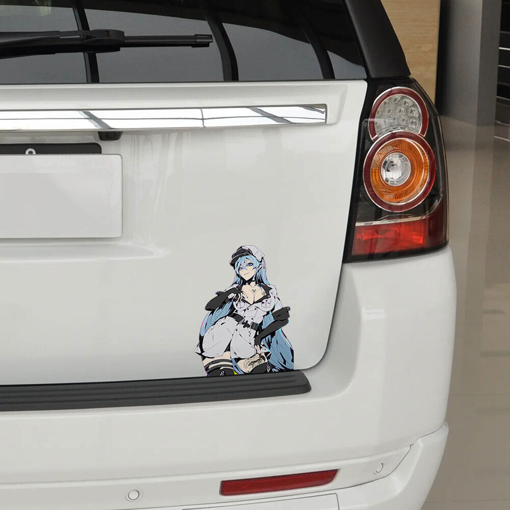 Car Sticker