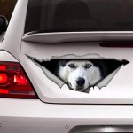 dog car sticker